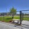 Dog Park